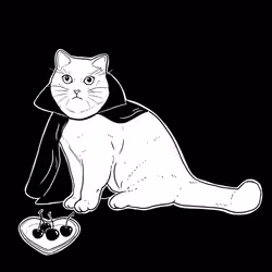 The Sad Cat #3374
