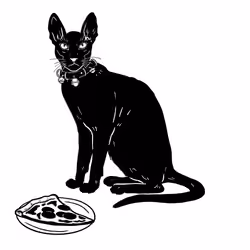 The Sad Cat #5289