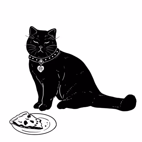 The Sad Cat #3209