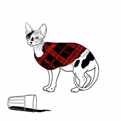 The Sad Cat #798