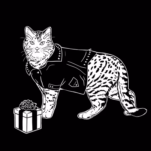 The Sad Cat #5498