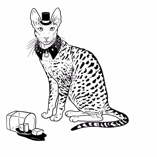 Thesadcats