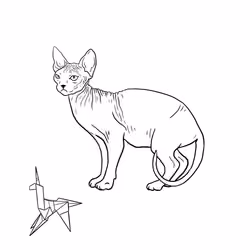 The Sad Cat #6871
