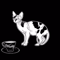 The Sad Cat #789