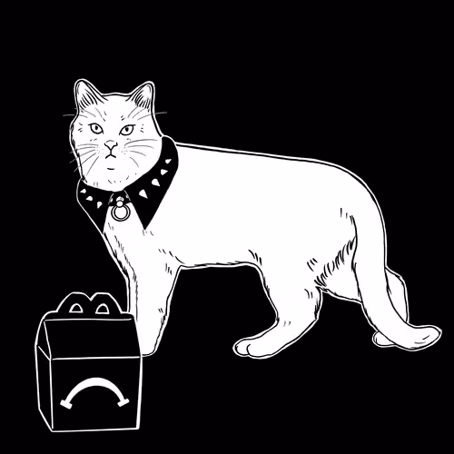 The Sad Cat #4926