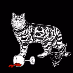 The Sad Cat #3826