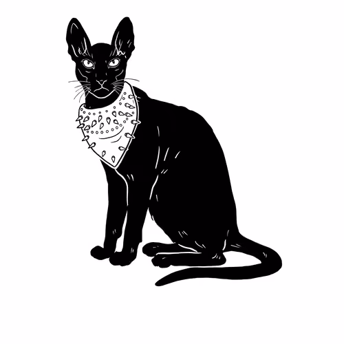 The Sad Cat #5101