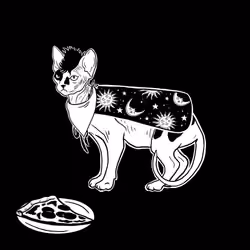 The Sad Cat #896