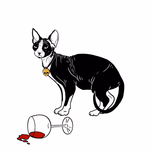 The Sad Cat #5012