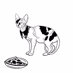 The Sad Cat #3486