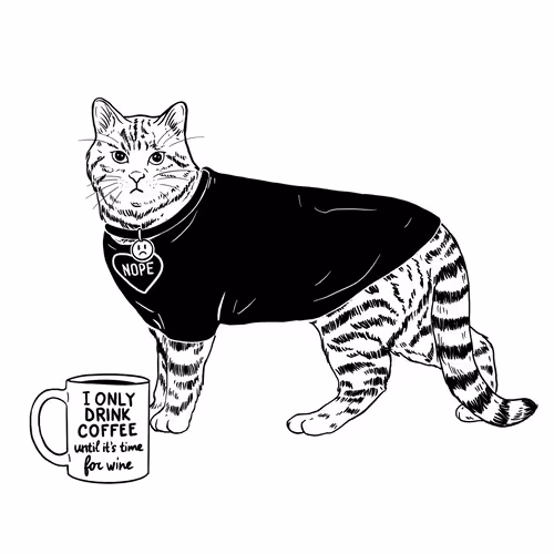 The Sad Cat #6491
