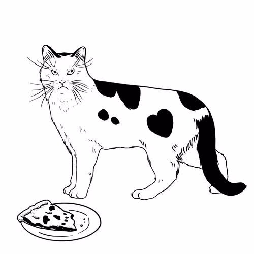 The Sad Cat #2876
