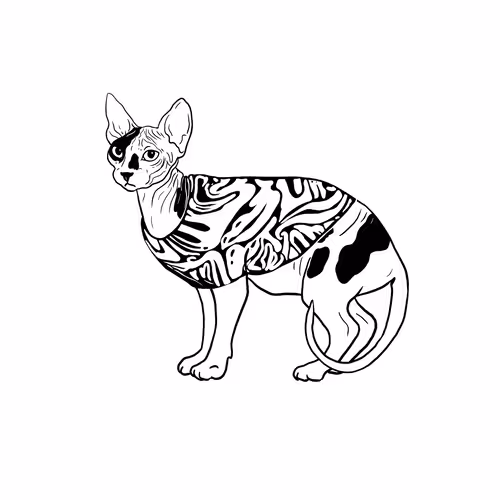 The Sad Cat #5058