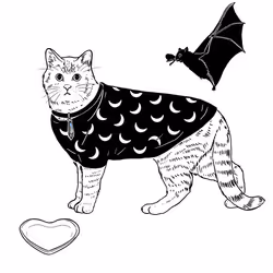 The Sad Cat #2515