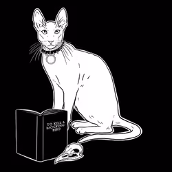 The Sad Cat #4454