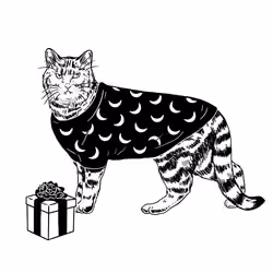The Sad Cat #5279