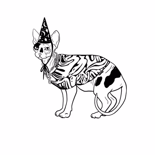 The Sad Cat #6848