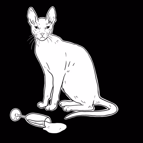 The Sad Cat #5580
