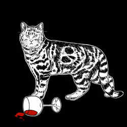 The Sad Cat #6776