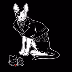 The Sad Cat #4482