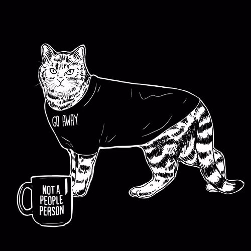 The Sad Cat #2862