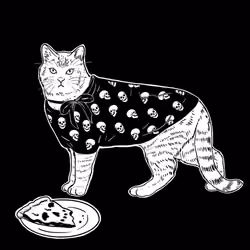 The Sad Cat #6309