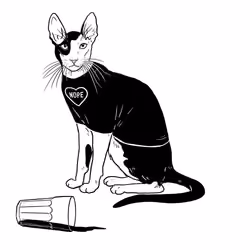 The Sad Cat #6304