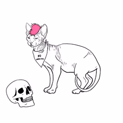 The Sad Cat #3584
