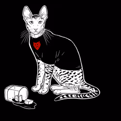 The Sad Cat #4867