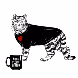 The Sad Cat #2608