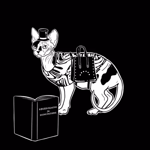 The Sad Cat #6119