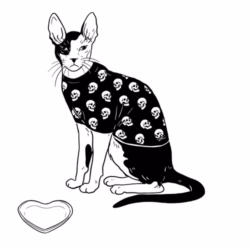 The Sad Cat #2790