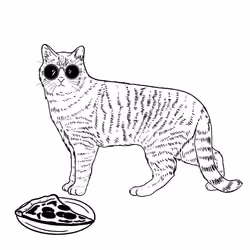 The Sad Cat #4496