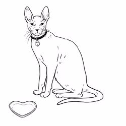 The Sad Cat #4226