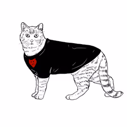 The Sad Cat #5493