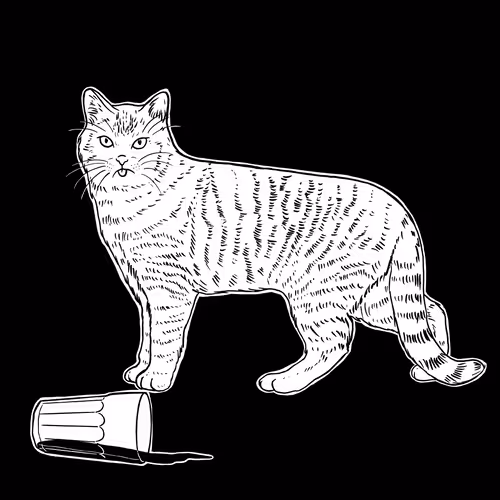 The Sad Cat #6418
