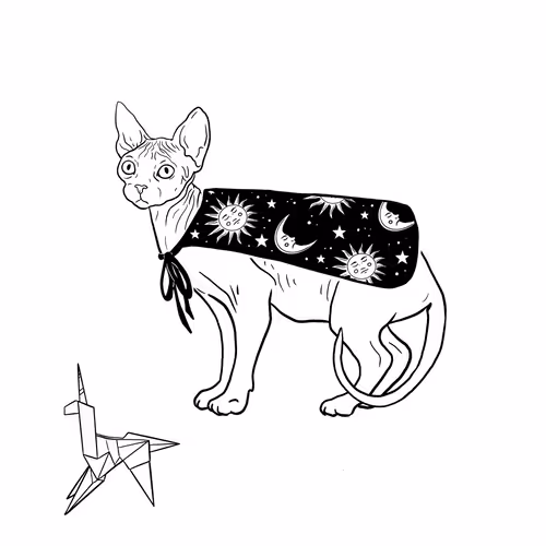 The Sad Cat #5104