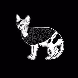 The Sad Cat #6090