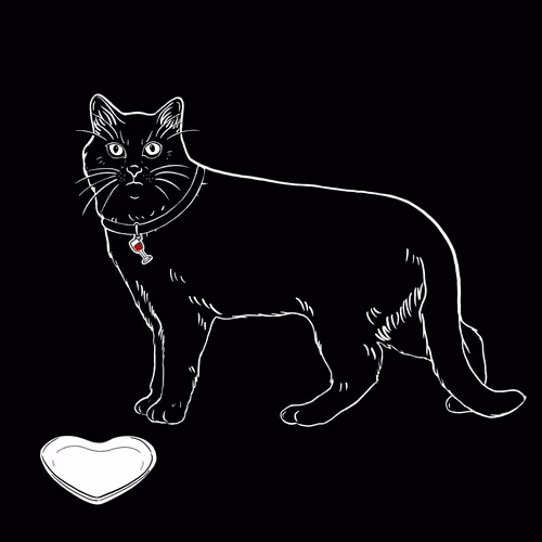 The Sad Cat #6073