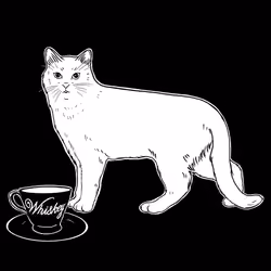 The Sad Cat #5115