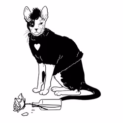 The Sad Cat #5653