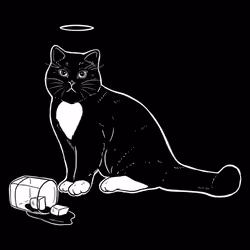 The Sad Cat #6671