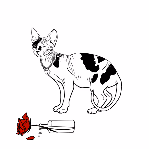 The Sad Cat #2217