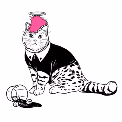 The Sad Cat #2816