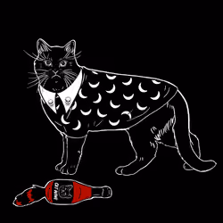 The Sad Cat #5132