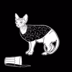 The Sad Cat #1075