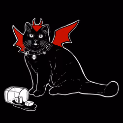 The Sad Cat #3103