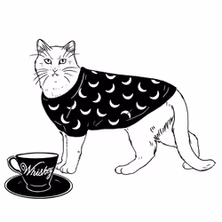 The Sad Cat #1961