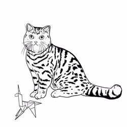 The Sad Cat #3491