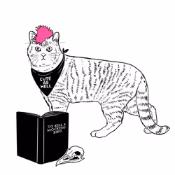 The Sad Cat #6534